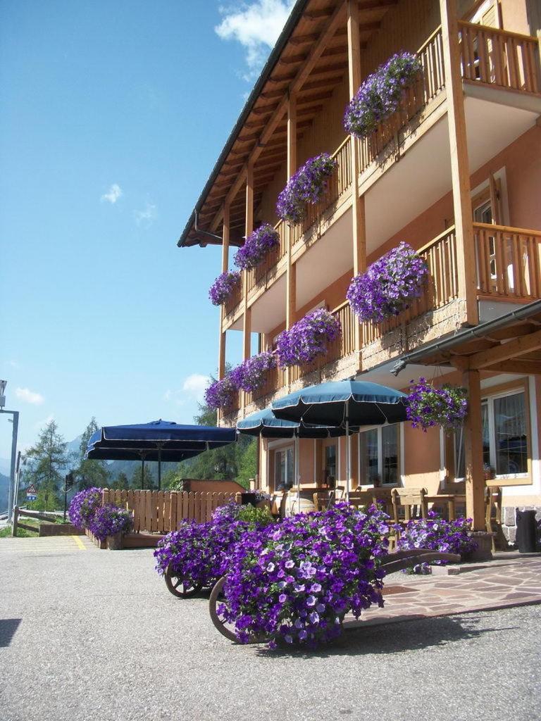 Hotel Vallechiara Moena Extérieur photo